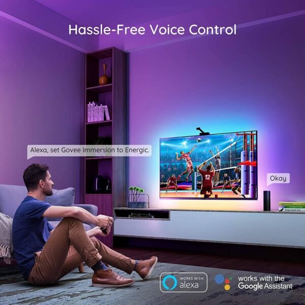 Govee Envisual TV LED Backlight with Camera, RGBIC Wi-Fi TV Backlights for 55-65 inch TVs, Works with Alexa & Google Assistant, App Control, Music Sync Lights, H6199 - Image 3